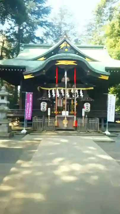 杵築大社の本殿・本堂