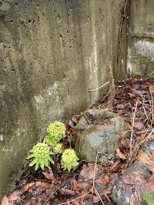 国上寺(新潟県)