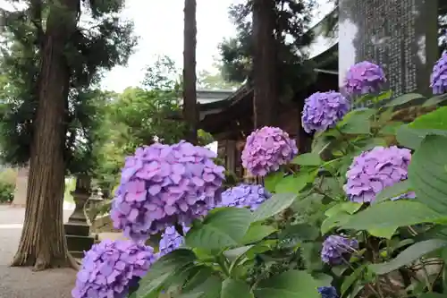 豊景神社の庭園