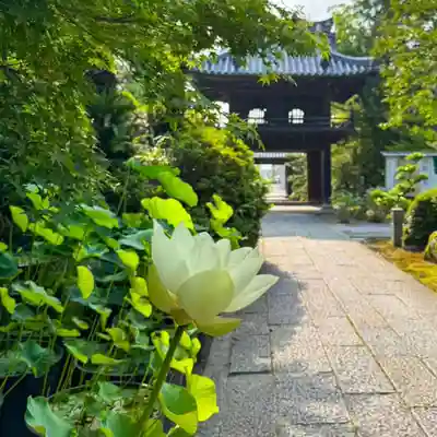 伊勢の国 四天王寺(三重県)