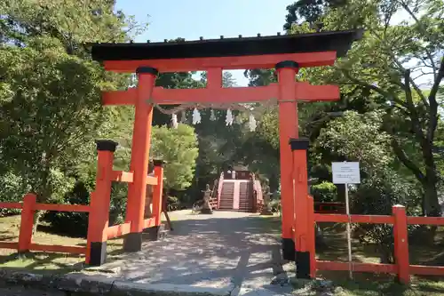 丹生都比売神社の鳥居