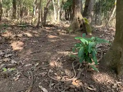 鉄杖山火守神社の自然