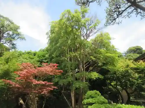 樹源寺(神奈川県)