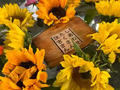 住吉神社の手水舎
