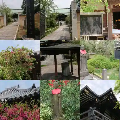 宝勝山　南藏院   蓮光寺(東京都)