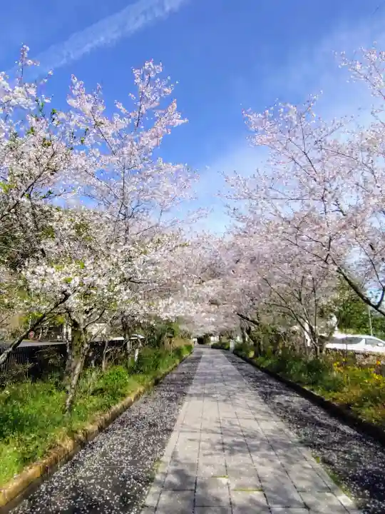 高麗神社(埼玉県)