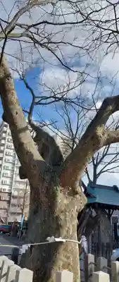 阿邪訶根神社(福島県)