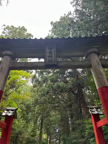 牛尾神社(新潟県)