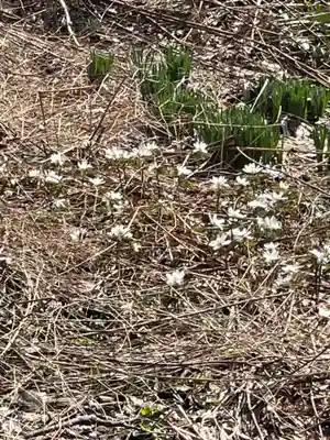 国上寺(新潟県)