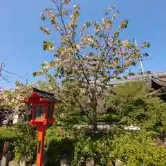 六孫王神社(京都府)