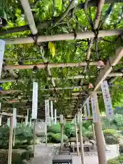 金蛇水神社(宮城県)