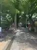 田無神社(東京都)