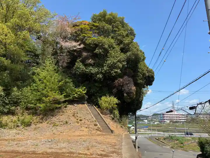 子将神(千葉県)