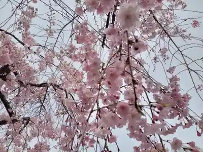 和泉國一之宮　大鳥大社(大阪府)