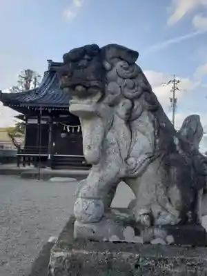 八幡宮の狛犬