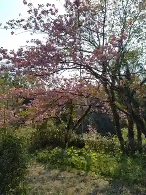 滝不動院(宮城県)