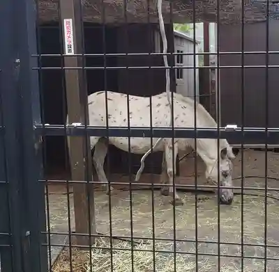 五方山熊野神社の仏像