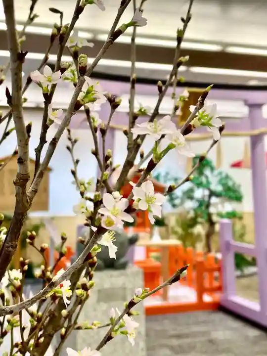 メノコト神社(京都府)