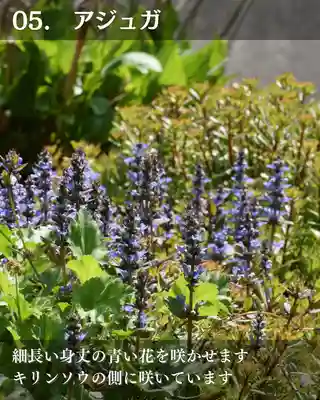 宝光寺(北海道)
