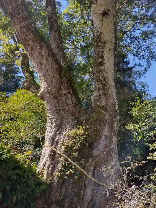 引作神社(三重県)
