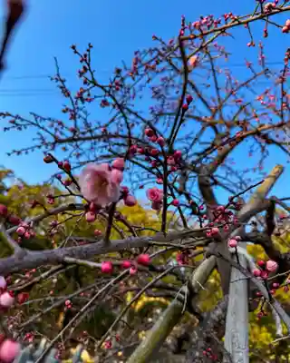 伊勢の国 四天王寺(三重県)