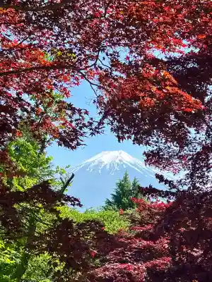 新倉富士浅間神社(山梨県)