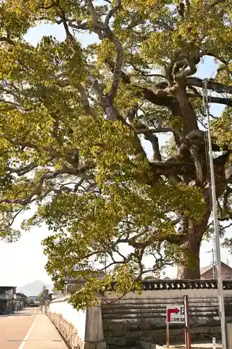 周防国分寺(山口県)