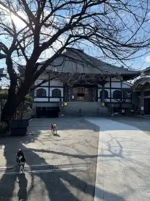 感通寺の本殿・本堂