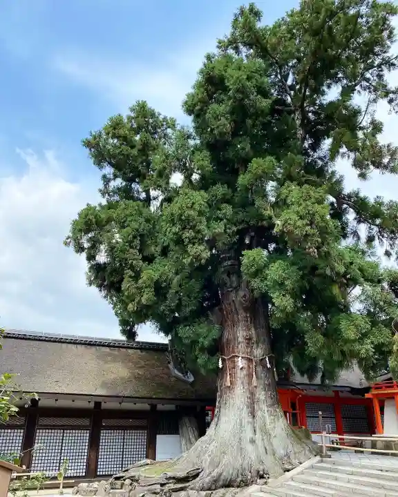 春日大社(奈良県)