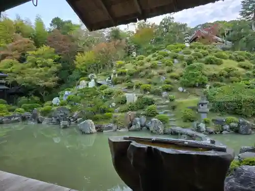  智積院(京都府)