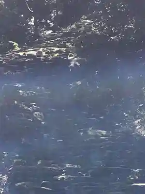 神倉神社（熊野速玉大社摂社）(和歌山県)