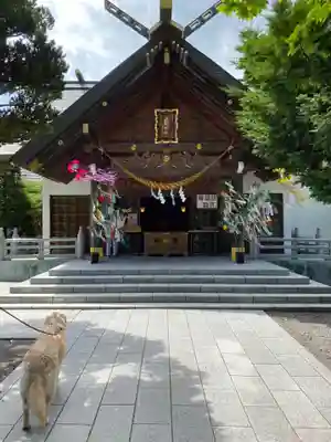 西野神社の本殿・本堂