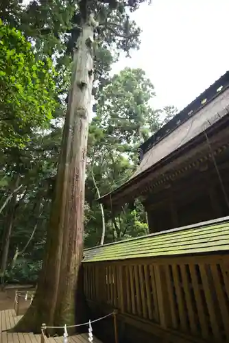 鹿島神宮(茨城県)