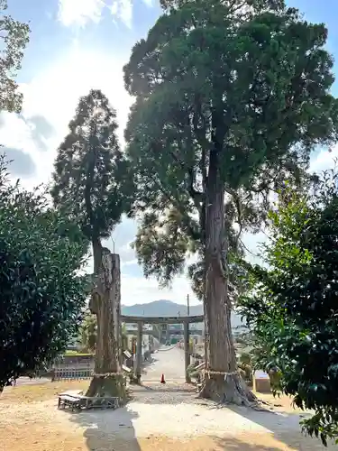 興玉神社(宮崎県)
