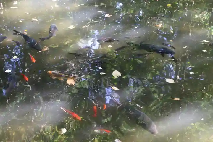 白石神社(北海道)