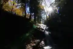 隠津島神社の自然