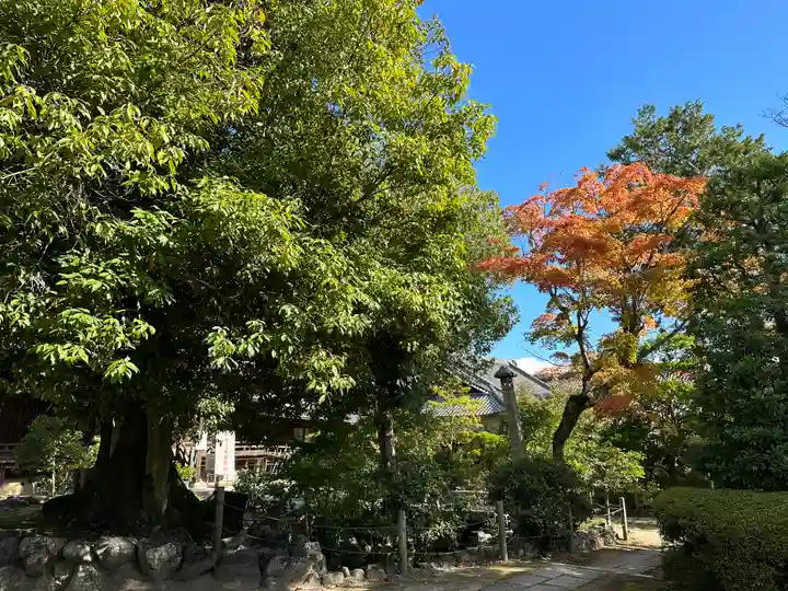 神光院(京都府)
