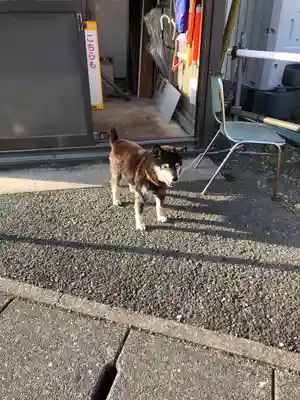 尊永寺(静岡県)