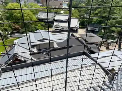 龍城神社の周辺