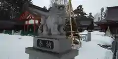 北海道護國神社の狛犬