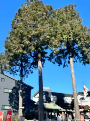 杉山神社(東京都)