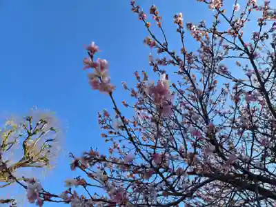 寛永寺不忍池弁天堂(東京都)