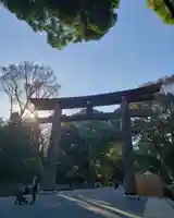 明治神宮の鳥居