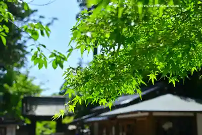 円覚寺(神奈川県)