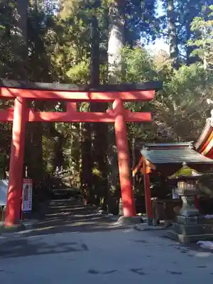箱根神社の鳥居