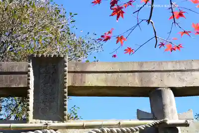 横浜御嶽神社(神奈川県)