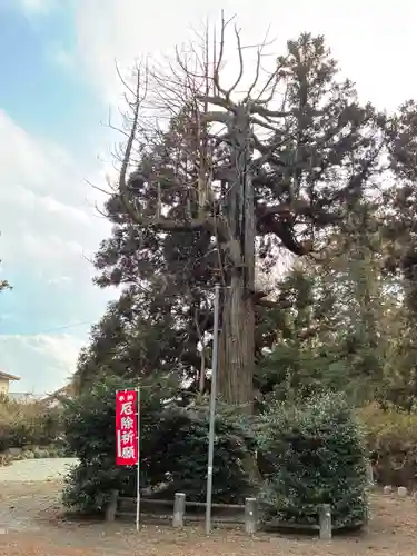 小川温泉神社(栃木県)