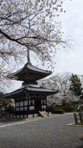本法寺(京都府)