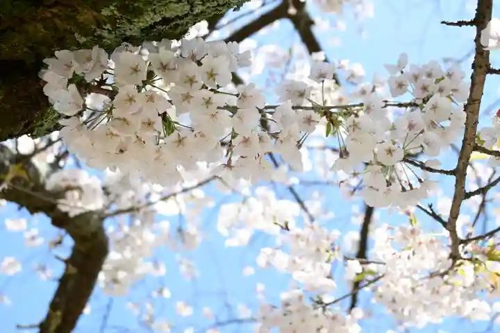 大宝寺(愛媛県)