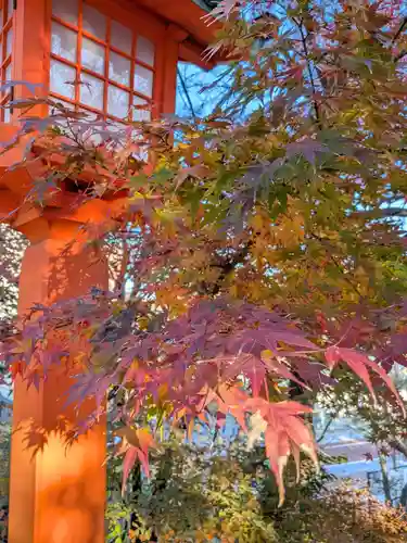 穴八幡宮(東京都)